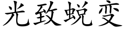 光緻蛻變 (楷體矢量字庫)