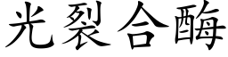 光裂合酶 (楷體矢量字庫)