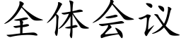 全体会议 (楷体矢量字库)