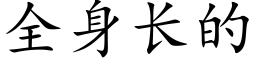 全身長的 (楷體矢量字庫)