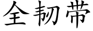 全韌帶 (楷體矢量字庫)