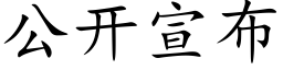 公开宣布 (楷体矢量字库)