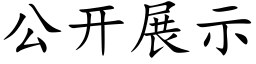 公开展示 (楷体矢量字库)