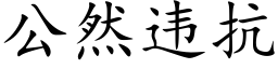 公然違抗 (楷體矢量字庫)