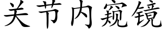 關節内窺鏡 (楷體矢量字庫)