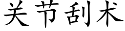 关节刮术 (楷体矢量字库)