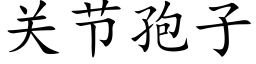 關節孢子 (楷體矢量字庫)