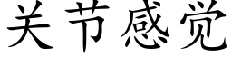 关节感觉 (楷体矢量字库)