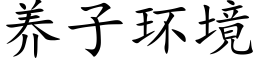 养子环境 (楷体矢量字库)