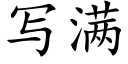 寫滿 (楷體矢量字庫)