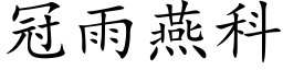 冠雨燕科 (楷體矢量字庫)