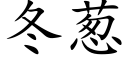 冬葱 (楷体矢量字库)