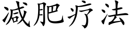 減肥療法 (楷體矢量字庫)