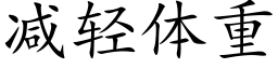 减轻体重 (楷体矢量字库)