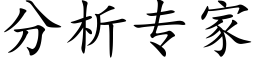 分析專家 (楷體矢量字庫)