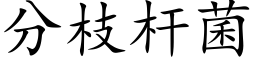 分枝杆菌 (楷體矢量字庫)