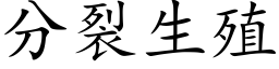 分裂生殖 (楷体矢量字库)