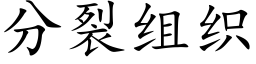 分裂組織 (楷體矢量字庫)