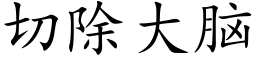 切除大腦 (楷體矢量字庫)