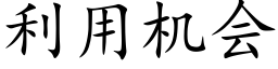 利用机会 (楷体矢量字库)