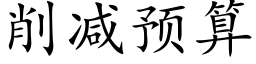 削減預算 (楷體矢量字庫)