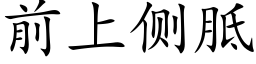 前上側胝 (楷體矢量字庫)