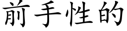 前手性的 (楷體矢量字庫)