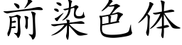 前染色體 (楷體矢量字庫)