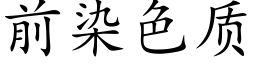 前染色質 (楷體矢量字庫)