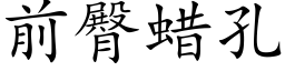 前臀蠟孔 (楷體矢量字庫)