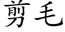 剪毛 (楷体矢量字库)