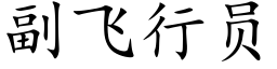 副飛行員 (楷體矢量字庫)