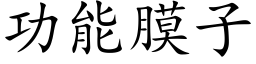 功能膜子 (楷体矢量字库)