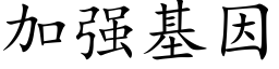 加强基因 (楷体矢量字库)