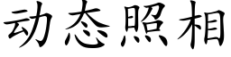 動态照相 (楷體矢量字庫)