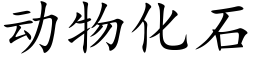 動物化石 (楷體矢量字庫)