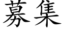 募集 (楷體矢量字庫)