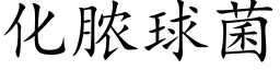 化脓球菌 (楷体矢量字库)