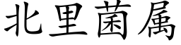 北裡菌屬 (楷體矢量字庫)