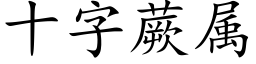 十字蕨属 (楷体矢量字库)