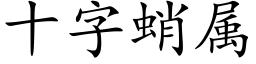 十字蛸属 (楷体矢量字库)