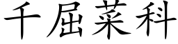 千屈菜科 (楷体矢量字库)