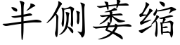 半侧萎缩 (楷体矢量字库)