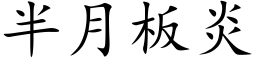 半月板炎 (楷体矢量字库)