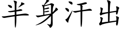 半身汗出 (楷体矢量字库)