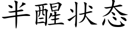 半醒状态 (楷体矢量字库)