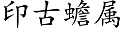 印古蟾属 (楷体矢量字库)