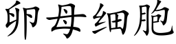 卵母细胞 (楷体矢量字库)