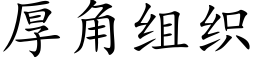 厚角组织 (楷体矢量字库)