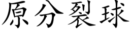 原分裂球 (楷体矢量字库)